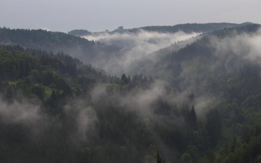 I mlčení je odpověď I mlčení je odpověď