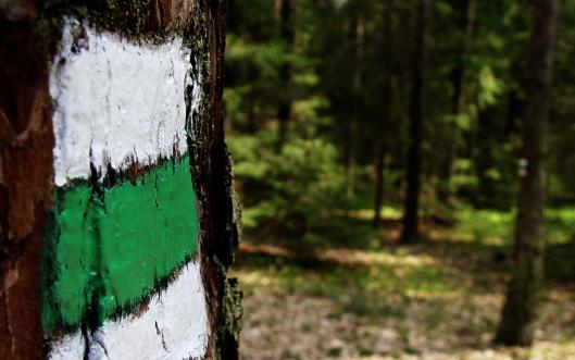 10 rad papeže Františka pro dobrý život 10 rad papeže Františka pro dobrý život