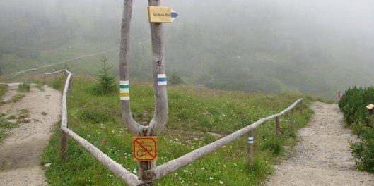 Nejsme ponecháni napospas... Nejsme ponecháni napospas...