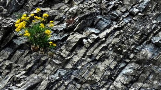 Ježíš nepřišel nalomené dolomit a doutnající típnout. Naopak. Ježíš nepřišel nalomené dolomit a doutnající típnout. Naopak.