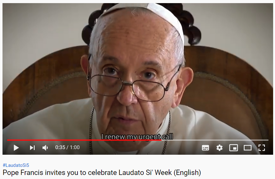Papež František vyzval církev ke slavení týdne Laudato si