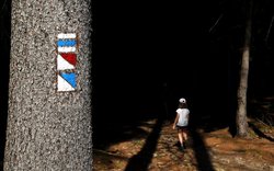 Les, turistická značka, světlo, stín, odvaha, strach, neznámo Les, turistická značka, světlo, stín, odvaha, strach, neznámo