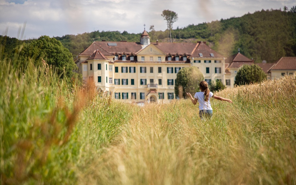 Foto Florian Schubert, pixabay, radost, běh, cíl Foto Florian Schubert, pixabay, radost, běh, cíl