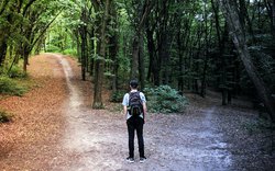 Máme svobodu jednat dobře i zle