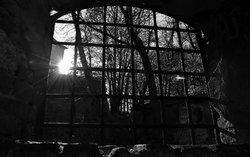 Odpuštění je úžasná věc. Smíření, mříž, slunce, paprsky / foto -ima- Odpuštění je úžasná věc. Smíření, mříž, slunce, paprsky / foto -ima-