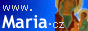 ikona