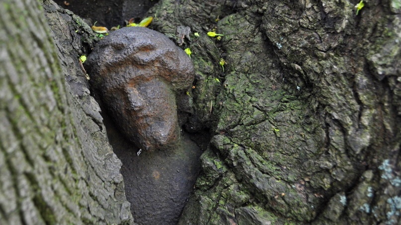 kříž strom, cross tree, Kreuz Baum, foto: IMA