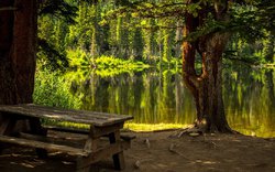 lavička, jezero, příroda / foto: pixabay.com