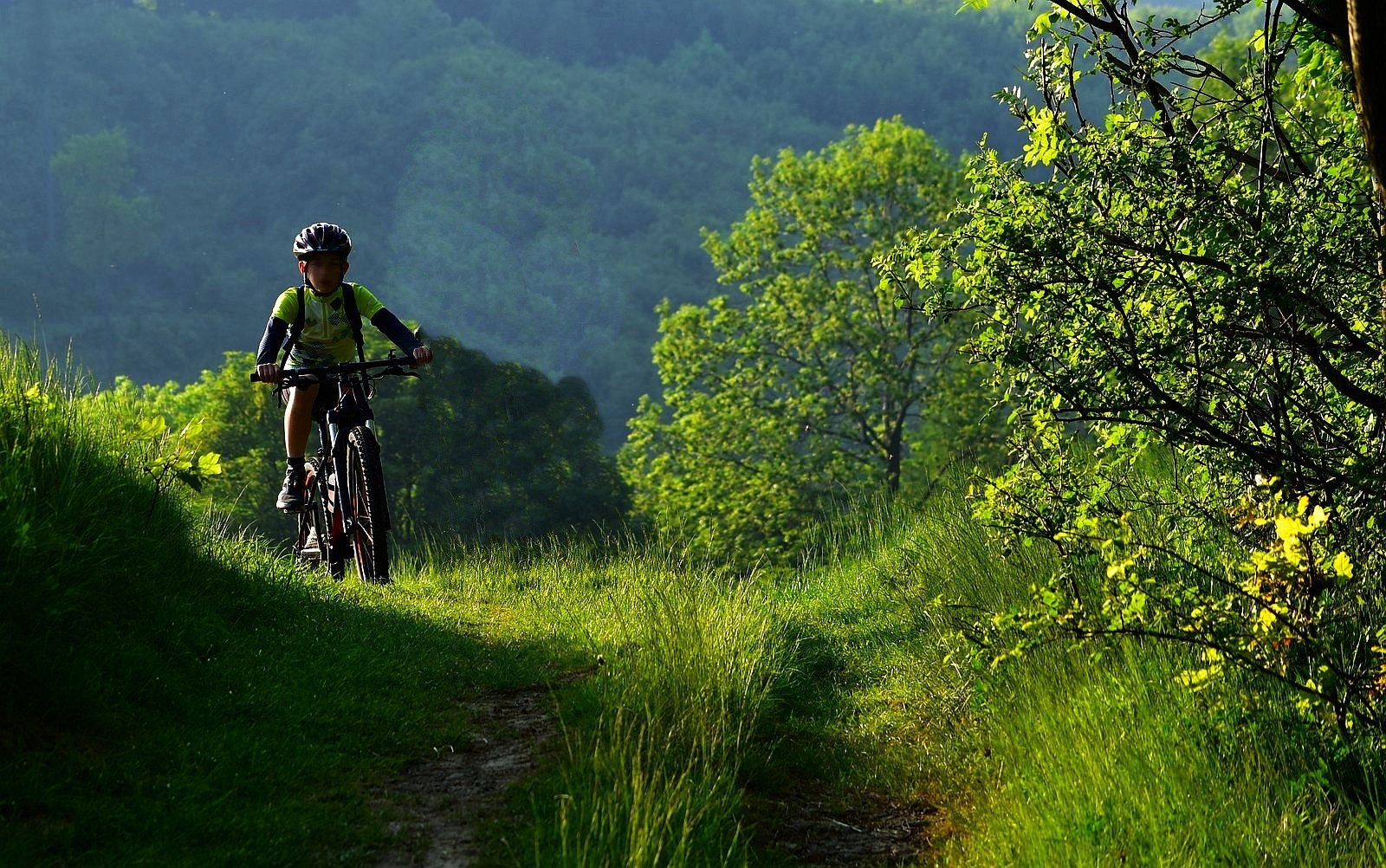 dítě na bicyklu v přírodě, cesta, zeleň / ima