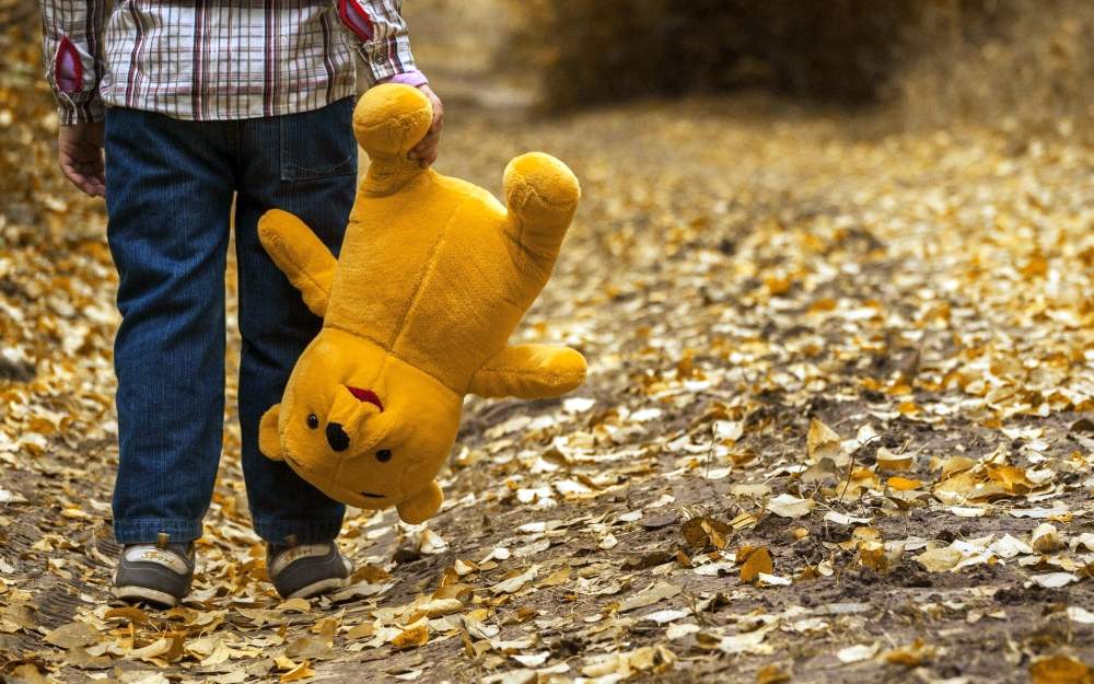 pixabay.com; podzimní cesta, medvídek Pú, smutek, samota, osamělost, dítě
