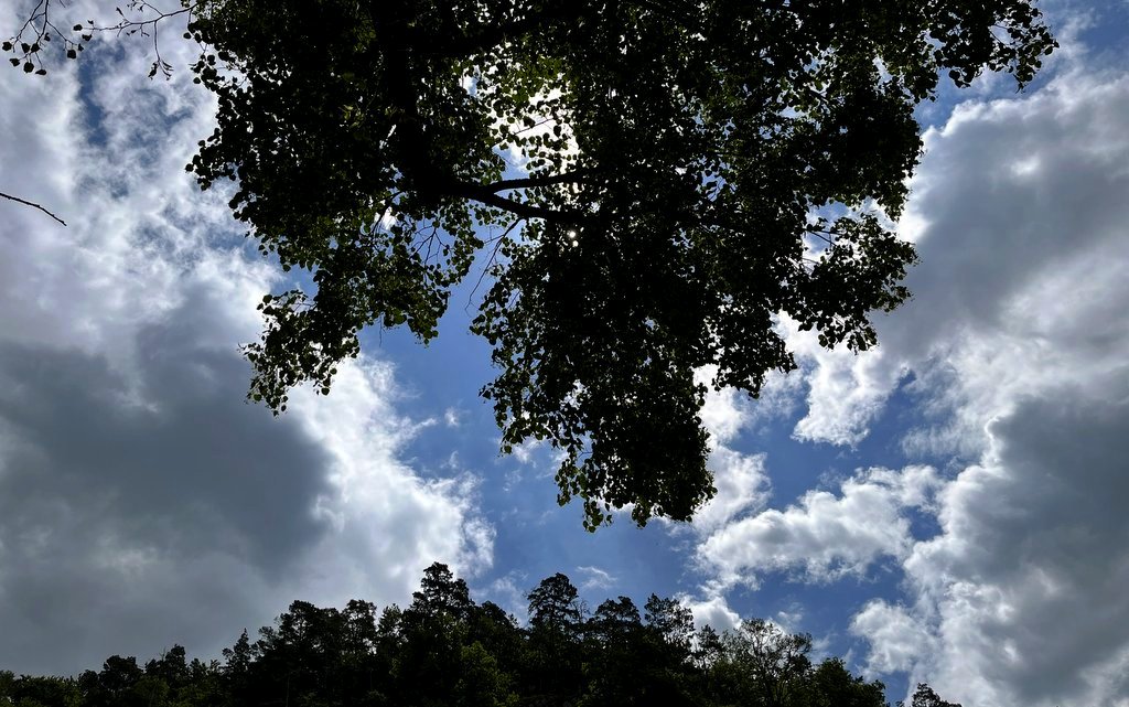 mraky, strom , obloha, lokalita: Sloup na Moravě / foto: -ima-