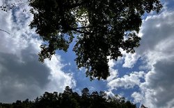 mraky, strom , obloha, lokalita: Sloup na Moravě / foto: -ima-