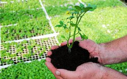 S manželem jsme zažili téměř likvidační krizi našeho vztahu