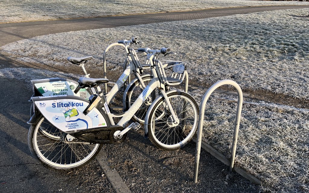 bicykl, sdílené kolo, jinovatka, námraza, cesta, park / -ima-