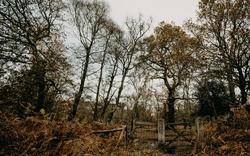 Co mě dusí, může být odstraněno...