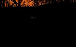 temnota, tma, ohnivý obzor obloha / foto Michal Němeček