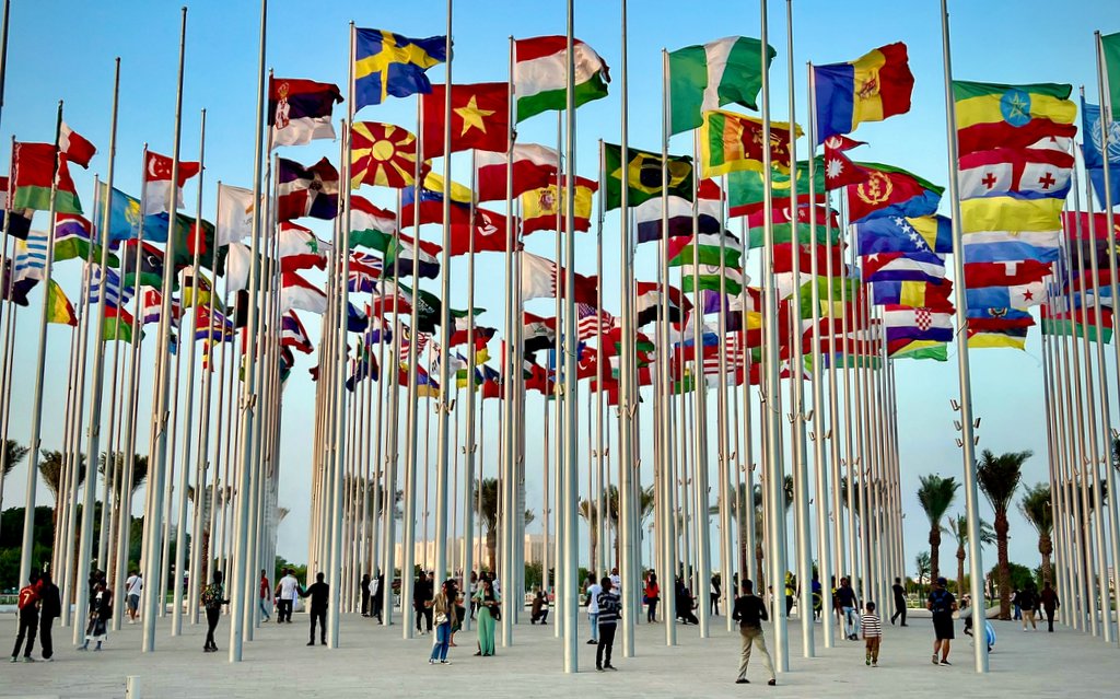 Foto von Amir Mortezaie / Unsplash