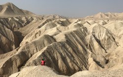 Když jsme „vyhladovělí“…