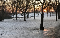 park, stromy, sníh, východ slunce / ima