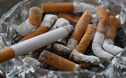 cigarety, popel, popelník / Foto Gerd Altmann Pixabay 