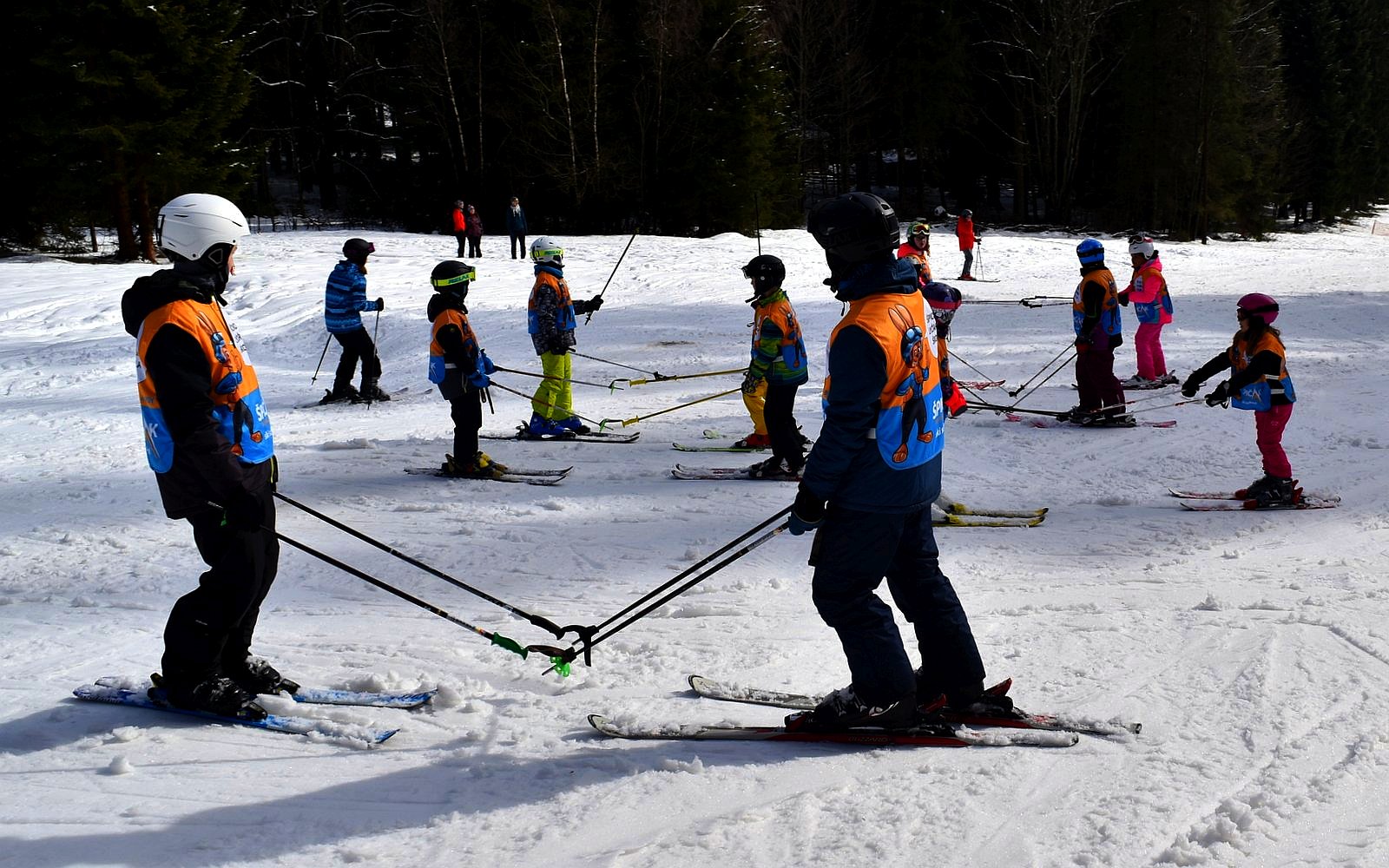 lyžaři propojeni hůlkami, sníh / -ima-