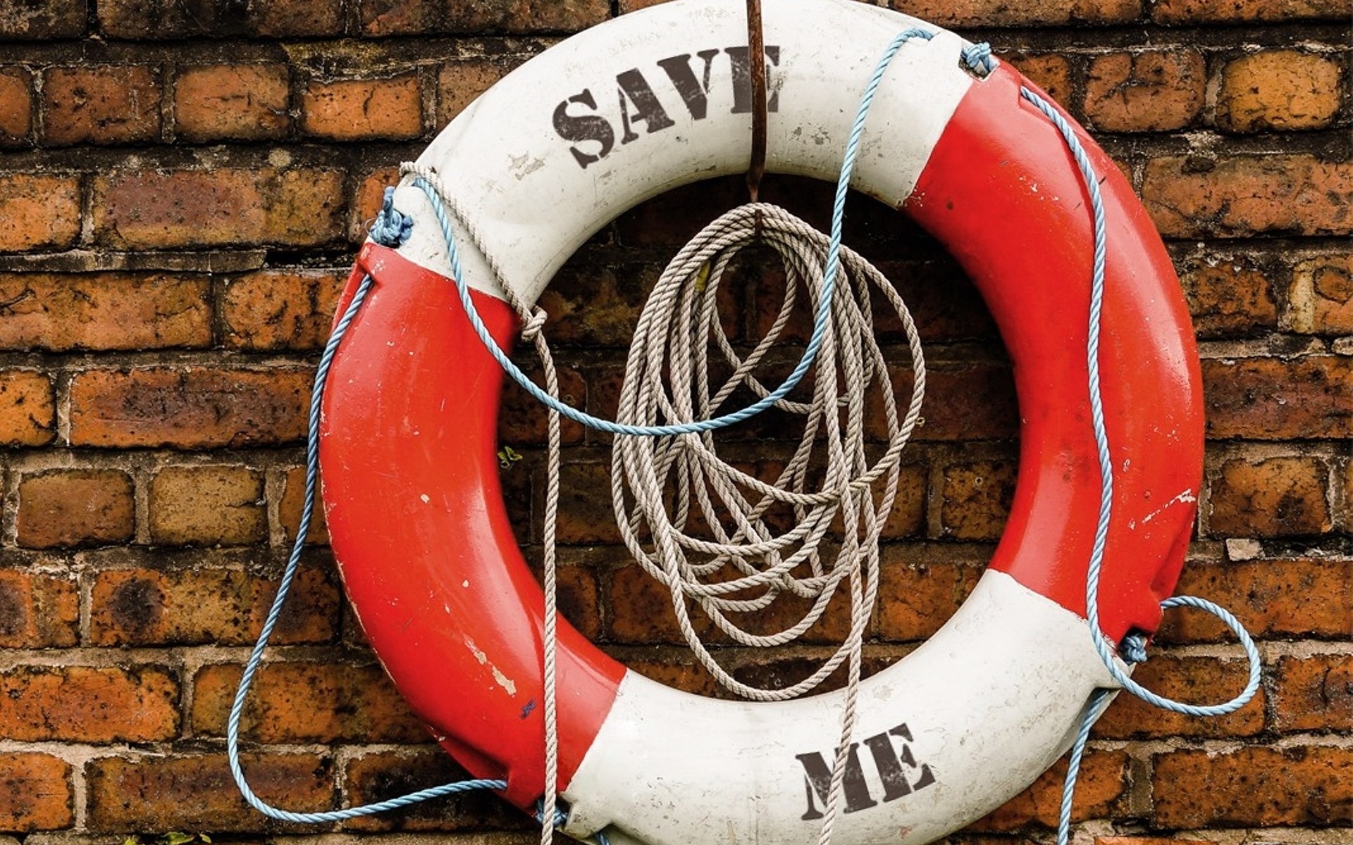 Foto pixabay, pixarc-life saving-swiming-tube, záchranný kruh, záchrana