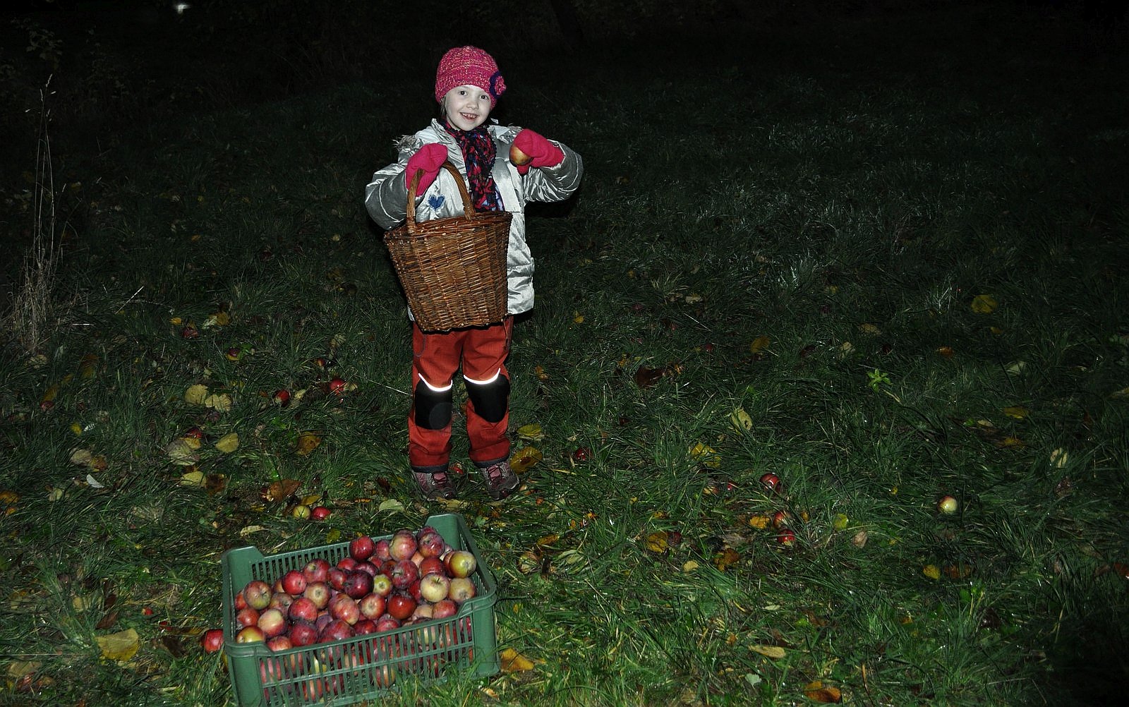košík ovoce, jablka, dívka / foto-ima-