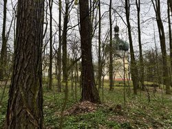 Kontemplativní exercicie v tichu lesa jižních Čech