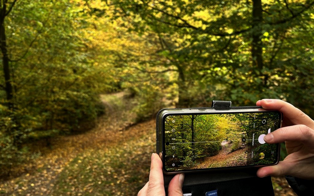 Příroda, podzim, les, cesta, ruka, mobilní telefon, průhled, LCD, lokalita Praha (ač to vypadá nepravděpodobně :-) / foto -ima-