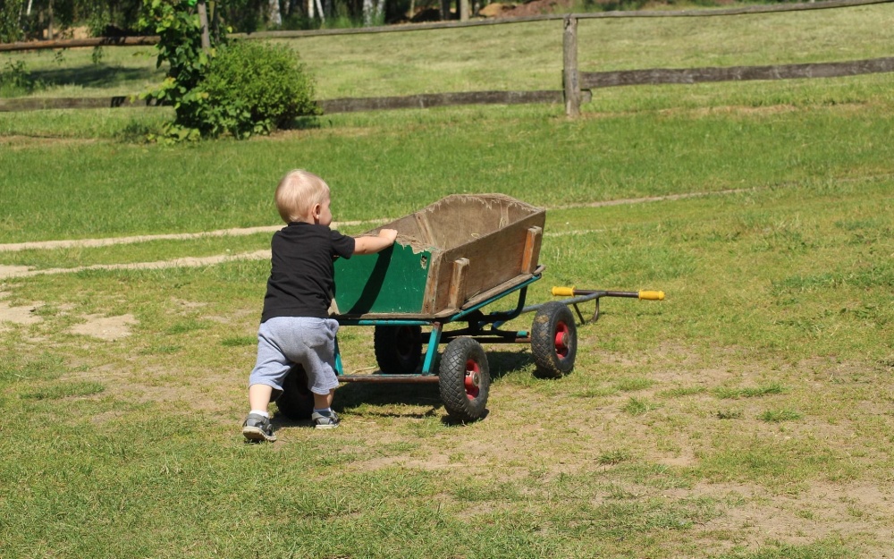 foto pixabay.com Alicja-child, dítě, vozík, námaha, výkon, snaha