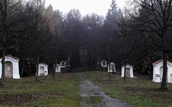 Rozdělení křesťanů. Kdo za to může?