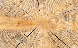 Potřebujeme čas pro dozrávání