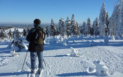 člověk běžkař hledící do krajiny, sníh, strom / foto -AdM-