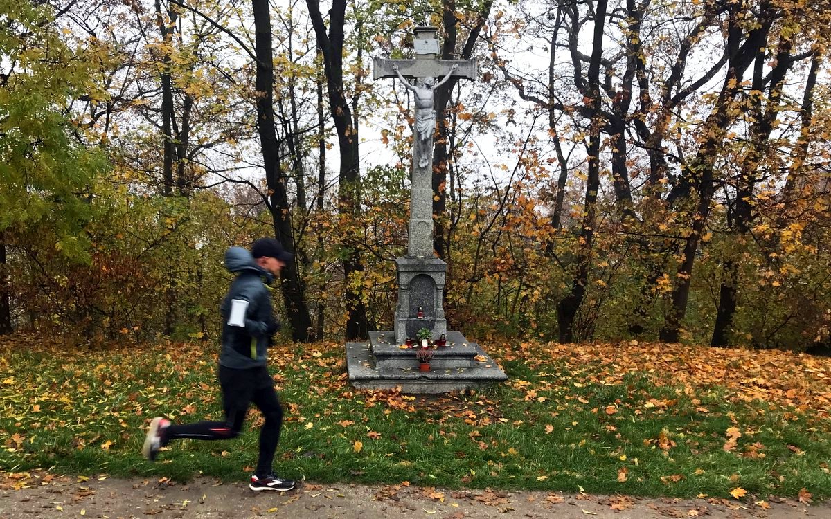 běžec, člověk, kříž, podzim, park / foto: -ima-