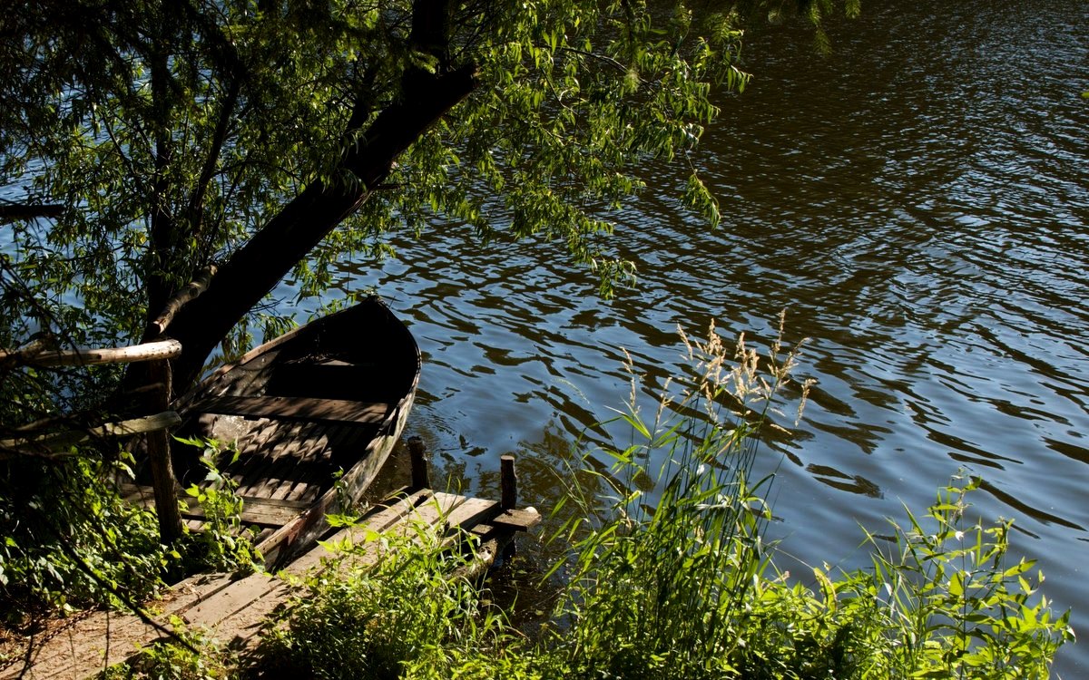 úkryt, zákoutí, lodička, voda, strom, křoví / foto Michal Němeček