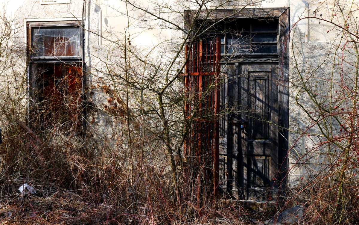 Trním zarostlý vchod do zchátralého domu / foto Michal Němeček