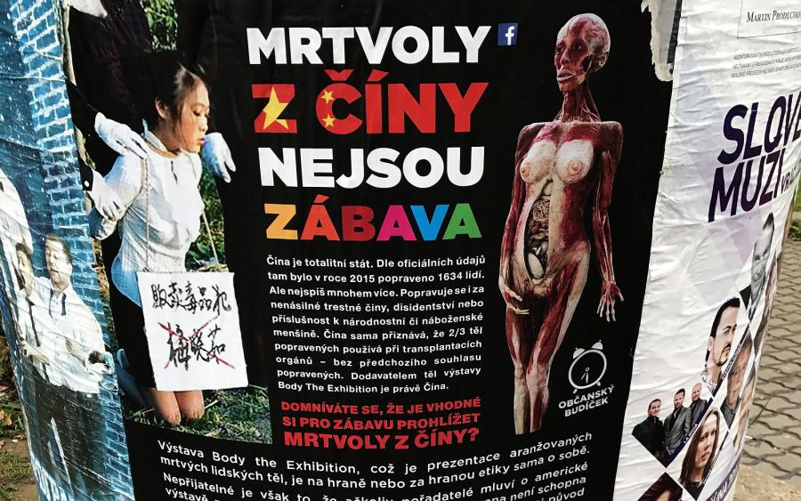 Poraďte mi, mám jít na výstavu lidských těl The Body exhibition?