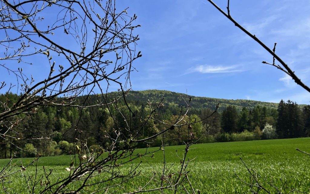 kopec, jaro, jarní den, prodírat se