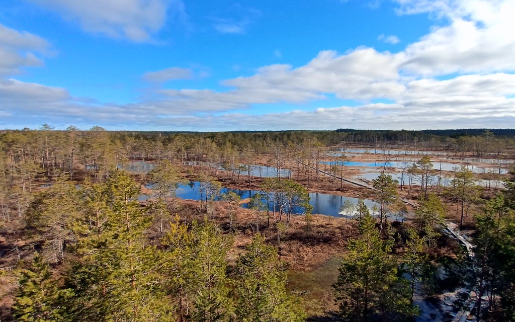 rašeliniště, bažina, povalový chodník, horizont, voda, mraky, Poballtí / foto Michael Špilar