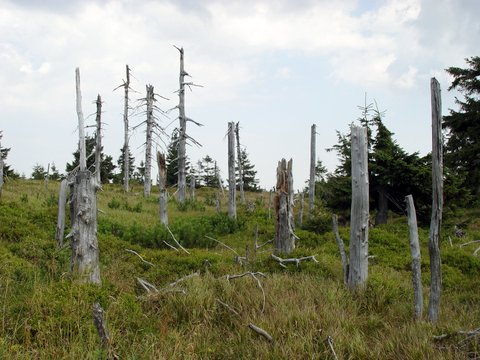 5. června se připomíná ´Světový den životního prostředí´