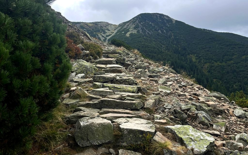 Cesta vzhůru, Krkonoše, Kozí Hřbety / foto -ima-