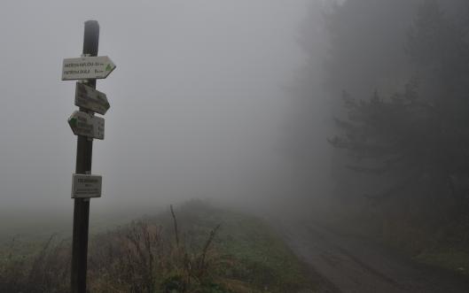 Rozcestník v mlze, Šumava / foto: IMA