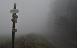 Rozcestník v mlze, Šumava / foto: IMA